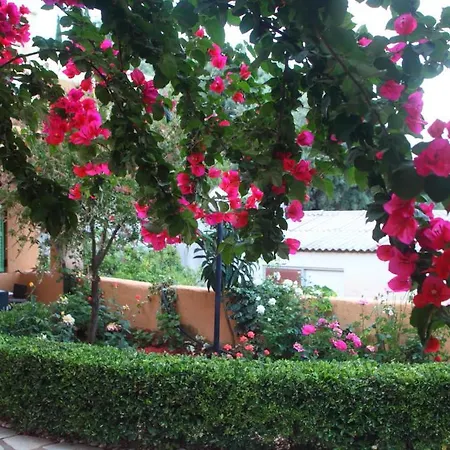 Scorpios Hotel